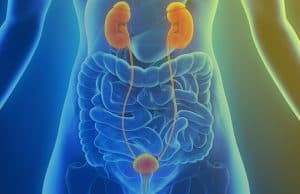 FileName: centre-urologie-fes-examens-urinaire.jpg.