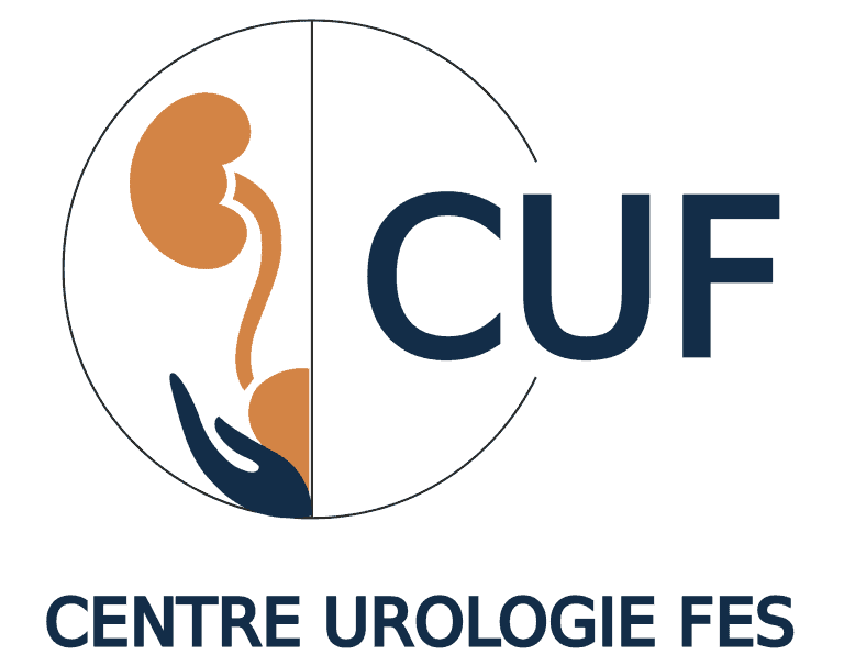 Syst&egrave;me urinaire et appareil reproducteur masculin repr&eacute;sent&eacute;s dans un graphique d'illustration m&eacute;dical.